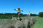 resIMG_20141004_125018_3368.JPG